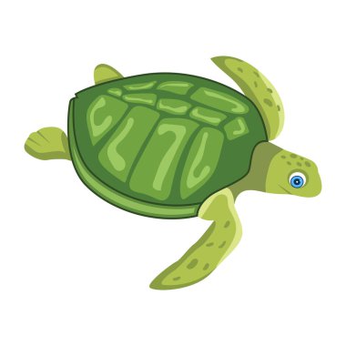 Şirin karikatür kaplumbağası, beyaz arkaplanda renkli çizimler.