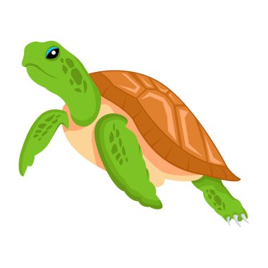 Şirin karikatür kaplumbağası, beyaz arkaplanda renkli çizimler.