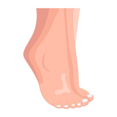Karikatür insan ayakları, beyaz arkaplanda renkli vektör çizimi 