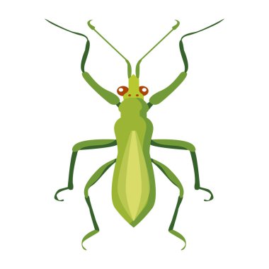 beyaz zemin üzerine yeşil çekirge