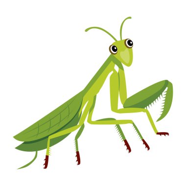 Çizgi film yeşil peygamber devesinin vektör çizimi.