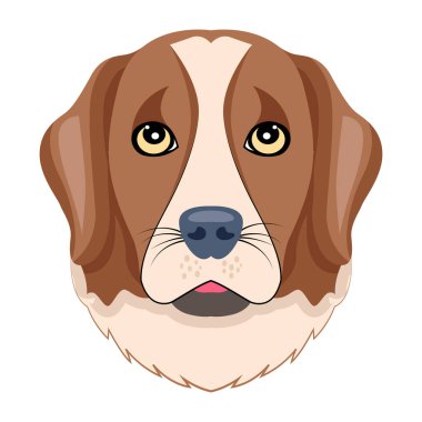 Tatlı av köpeğinin başı.