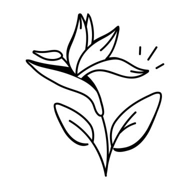 Cennet bitkisinin el çizimi simgesi 