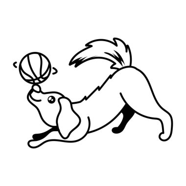 Beyaz arka planda topla oynayan sevimli komik köpek.