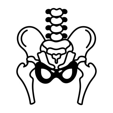 Pelvik kemik yapısı, el çizimi simgesi