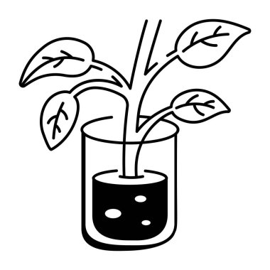 vector illustration of a plant in pot