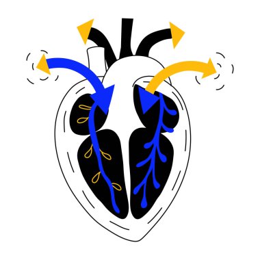 Kalp kan dolaşımını gösteren yarım yamalak bir çizim.