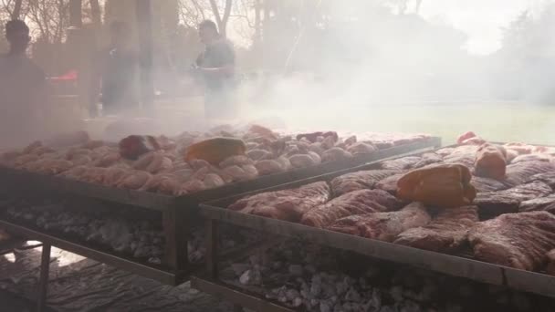 Preparare Enorme Barbecue All Aperto Festival Dello Street Food Parco — Video Stock