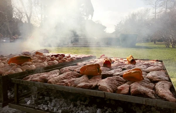 Grote Outdoor Barbecue Straat Voedsel Festival Een Park — Stockfoto