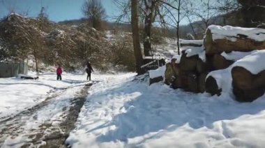 Karda bir aile yürüyüşü yap dağ yolunda odun yığınları arasında düş. Yüksek kalite 4k görüntü