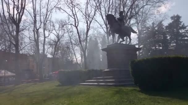 Estatua Jinete Niebla Jardín Lleno Niebla — Vídeo de stock