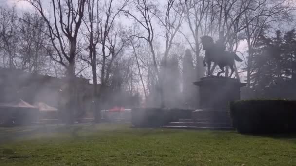 Statue Eines Reiters Nebel Einem Garten Voller Nebel — Stockvideo