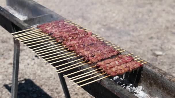Pinchos Kebabs Italianos Llamados Arrosticini Abruzzese Región Italia Abruzos Hechos — Vídeo de stock