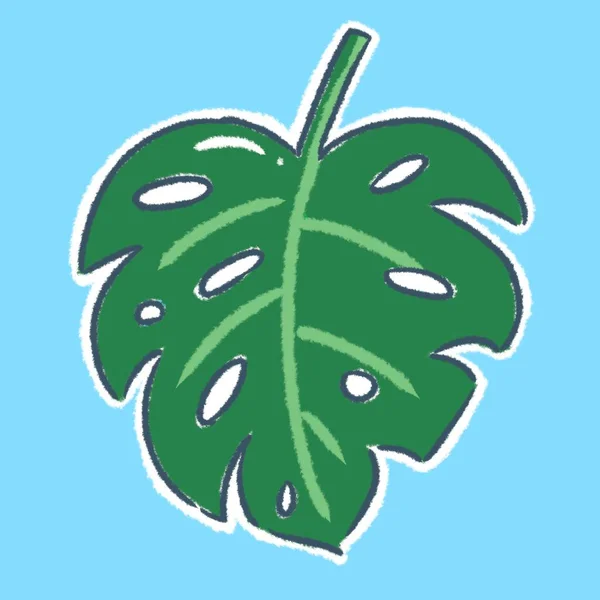 Tropical Leave Hand Drawing Clipart — Foto de Stock