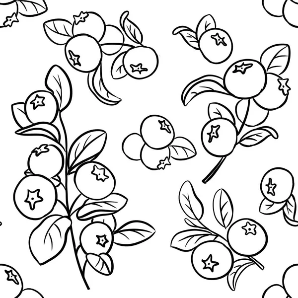 Blueberry Branch Sketch Fundo Sem Costura — Fotografia de Stock