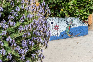 Bir bukalemun içeren mozaik ekicisi