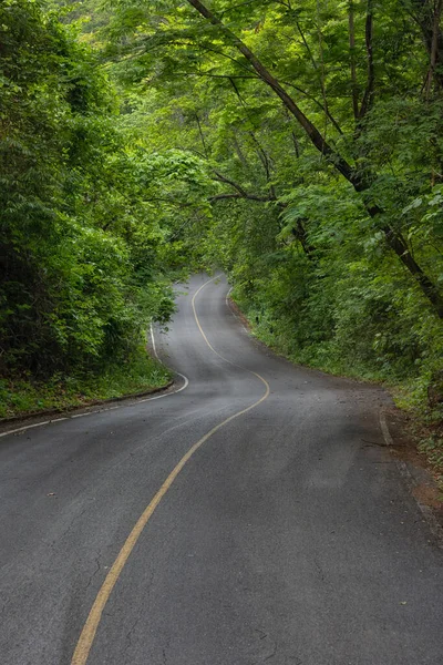 Aventura Una Carretera Por Bosque Estilo Vida Naturaleza Arrendamiento Vida — Foto de Stock