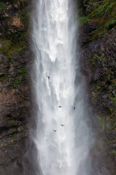 Egy Csapat Fecske Repül Egy Nagy Vízesés Közelében Természet Madárimádó — Stock Fotó