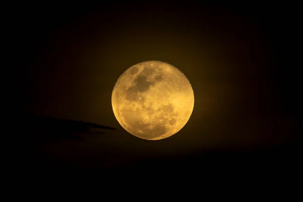 A full moon among clouds in a dark sky. yellow moon. Nature.