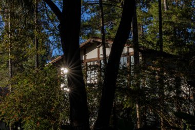 Gün batımında ormanın içinde bir ev. Doğa. Yaşam biçimi.