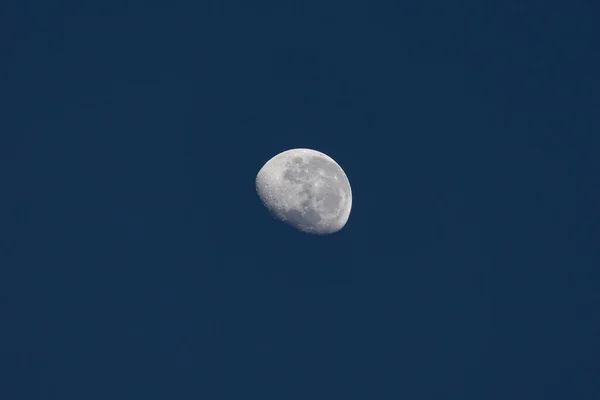 淡淡的月亮在蓝色的天空中 大自然 天文学 — 图库照片