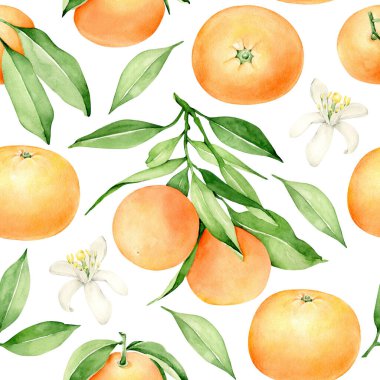 orange fruit seamless pattern.mandarin background