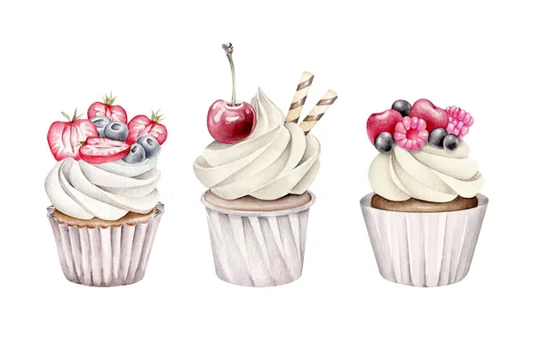 watercolor set of cupcakes on white background