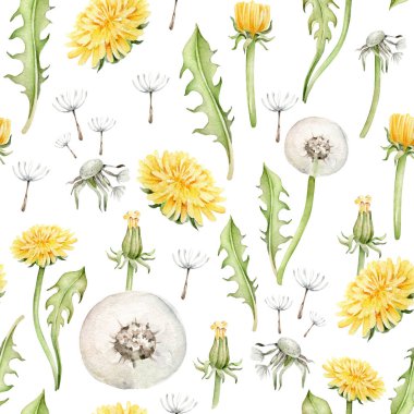 Karahindiba desenli sulu boya. Çiçek süsü.