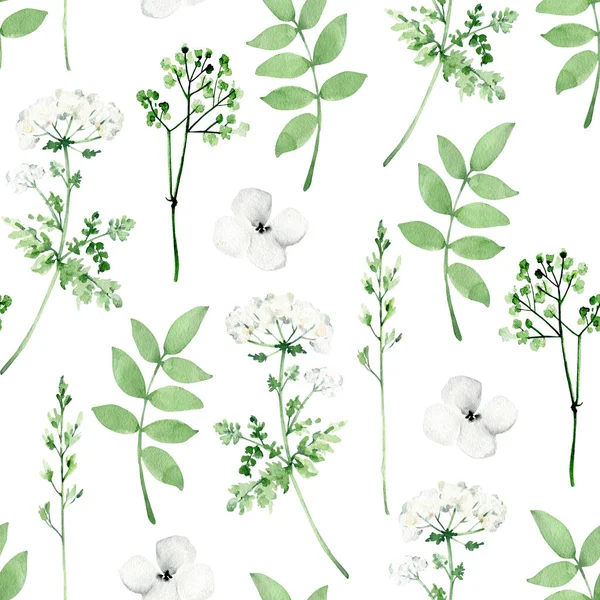 Watercolor Herbs Flowers Seamless Pattern Grass Floral Wallpaper Botany Meadow — Stock Photo, Image