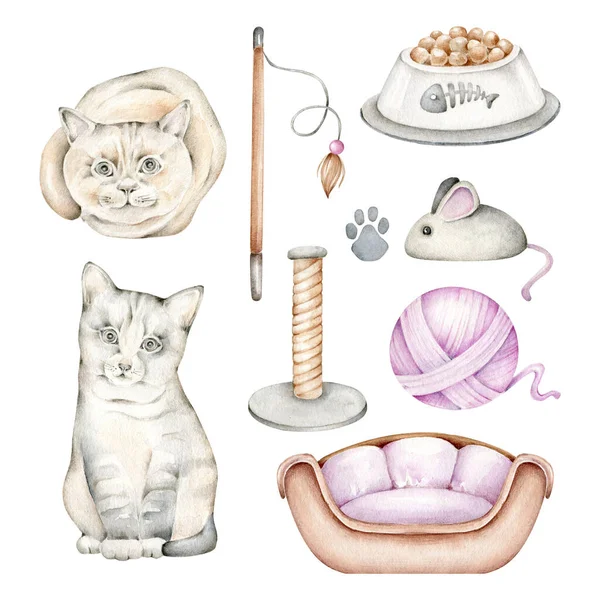 Watercolor Illustration Set Cats Accessories — Stock Photo, Image