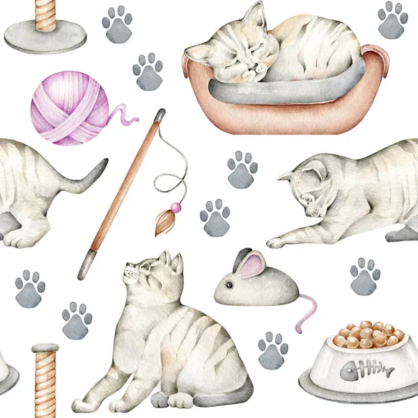 Cats Pattern Watercolor Kitten Domestic Animals Cartoon Cat — Stock Photo, Image
