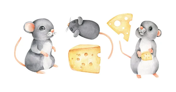 Watercolor Mouse Mice Cheese Mouse Isolated White Rat Hand Drawn — Stock Photo, Image