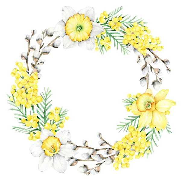 Spring flowers wreath.Willow branch,narcissus,mimosa flowers.Floral round frame.Greeting card.Watercolor flowers