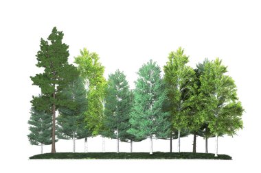 Kırmızı çiçekli yeşil çimen tarlası, kayalar ve beyaz çiçekler; doğa temalı tasarımlar, bahçe malzemeleri veya açık hava projeleri için ideal.