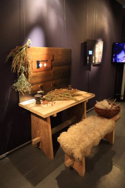 Ukrayna, Kyiv 'deki Kyiv Tarih Müzesi