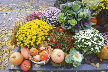 Sokaklarda çiçekler ve balkabaklarıyla sonbahar süslemeleri