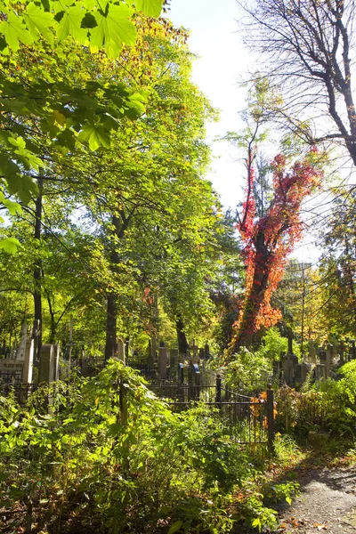 ウクライナのキエフで晴れた秋の日に有名なバイコブ墓地の眺め — ストック写真