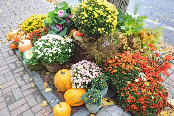 Decoração Outono Com Flores Abóboras Rua Imagem De Stock