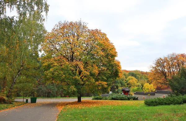 Picturesque Autumn Landscape Hryshka National Botanical Garden National Academy Sciences — Stock Photo, Image