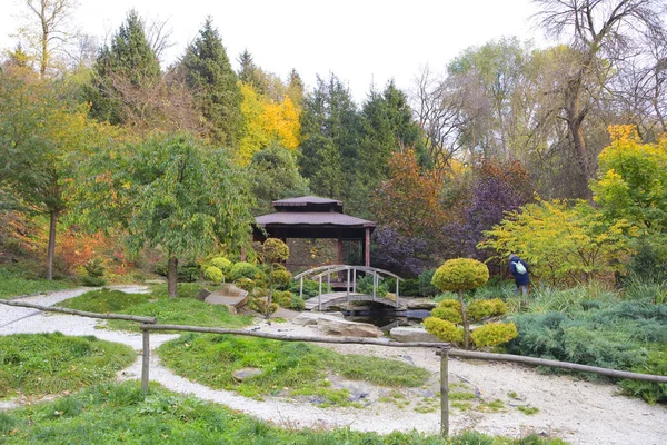 Japoński Ogród Hryszce Narodowy Ogród Botaniczny Narodowej Akademii Nauk Ukrainy — Zdjęcie stockowe