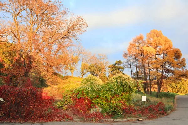 Malerische Herbstlandschaft Nationalen Botanischen Garten Hryschka Der Nationalen Akademie Der — Stockfoto