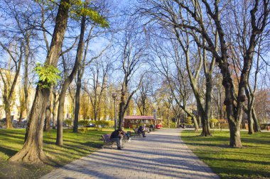 Shevchenko Parkı Ukrayna 'nın Kyiv şehrinde güneşli bir sonbahar gününde