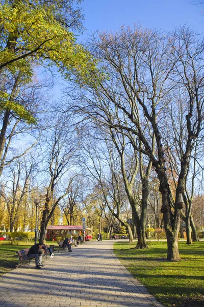 Shevchenko Parkı Ukrayna Nın Kyiv Şehrinde Güneşli Bir Sonbahar Gününde — Stok fotoğraf