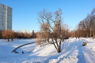 Kyiv, Ukrayna 'da kış parkı 