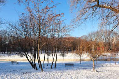 Kyiv, Ukrayna 'da kış parkı 