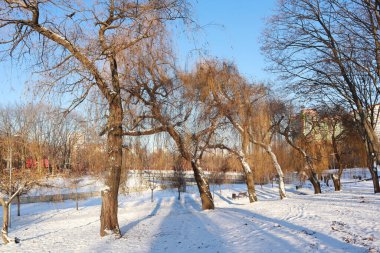Kyiv, Ukrayna 'da kış parkı 