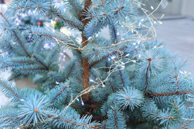 Noel ağacı ve Noel çelengi olan bir arka plan