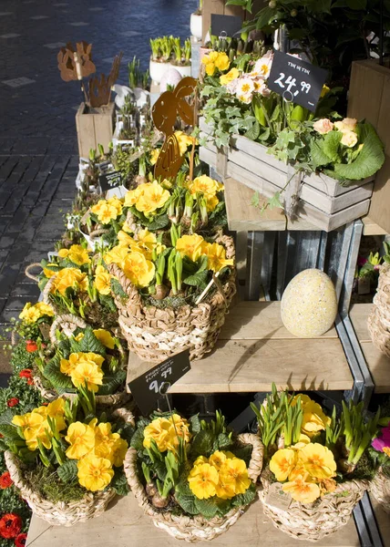 Flowers for sale in the flower store in Europe