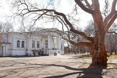 Odessa, Ukrayna 'da eski bir Ashkenazi evi.