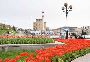 Ukrayna 'nın başkenti Kyiv' de çiçek açan lalelerle Bağımsızlık Meydanı